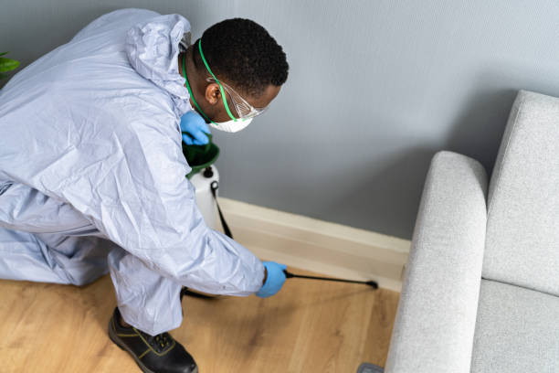 Best Residential Pest Control  in Kalispell, MT